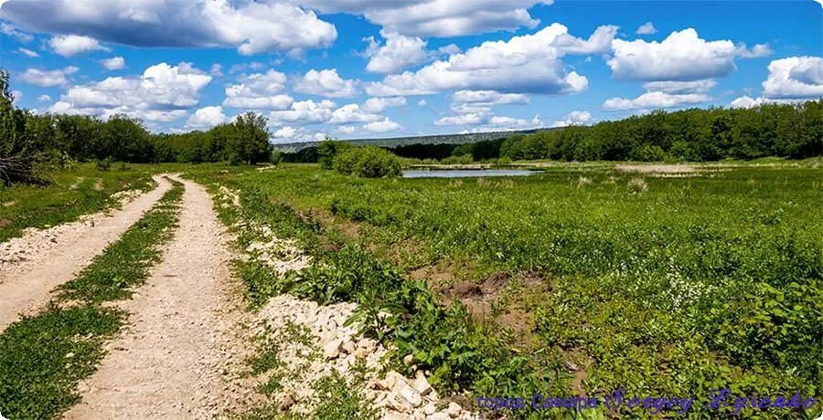 Лесная дорога в Самарской области — путь к энергетической аномалии и космическому подключению